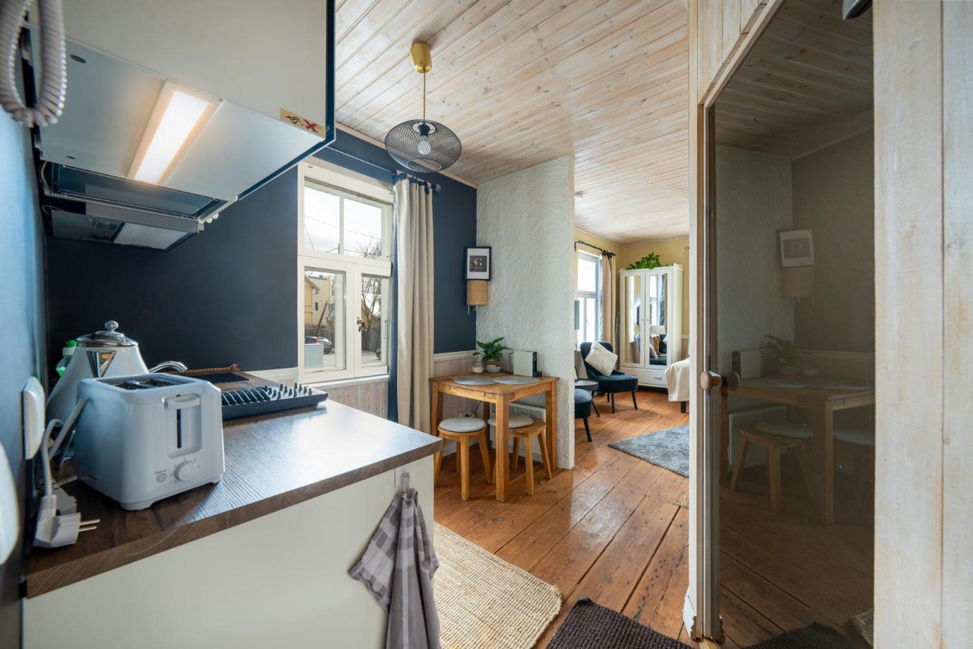 Garden Studio Next To Telliskivi & Old Town Tallin Zewnętrze zdjęcie