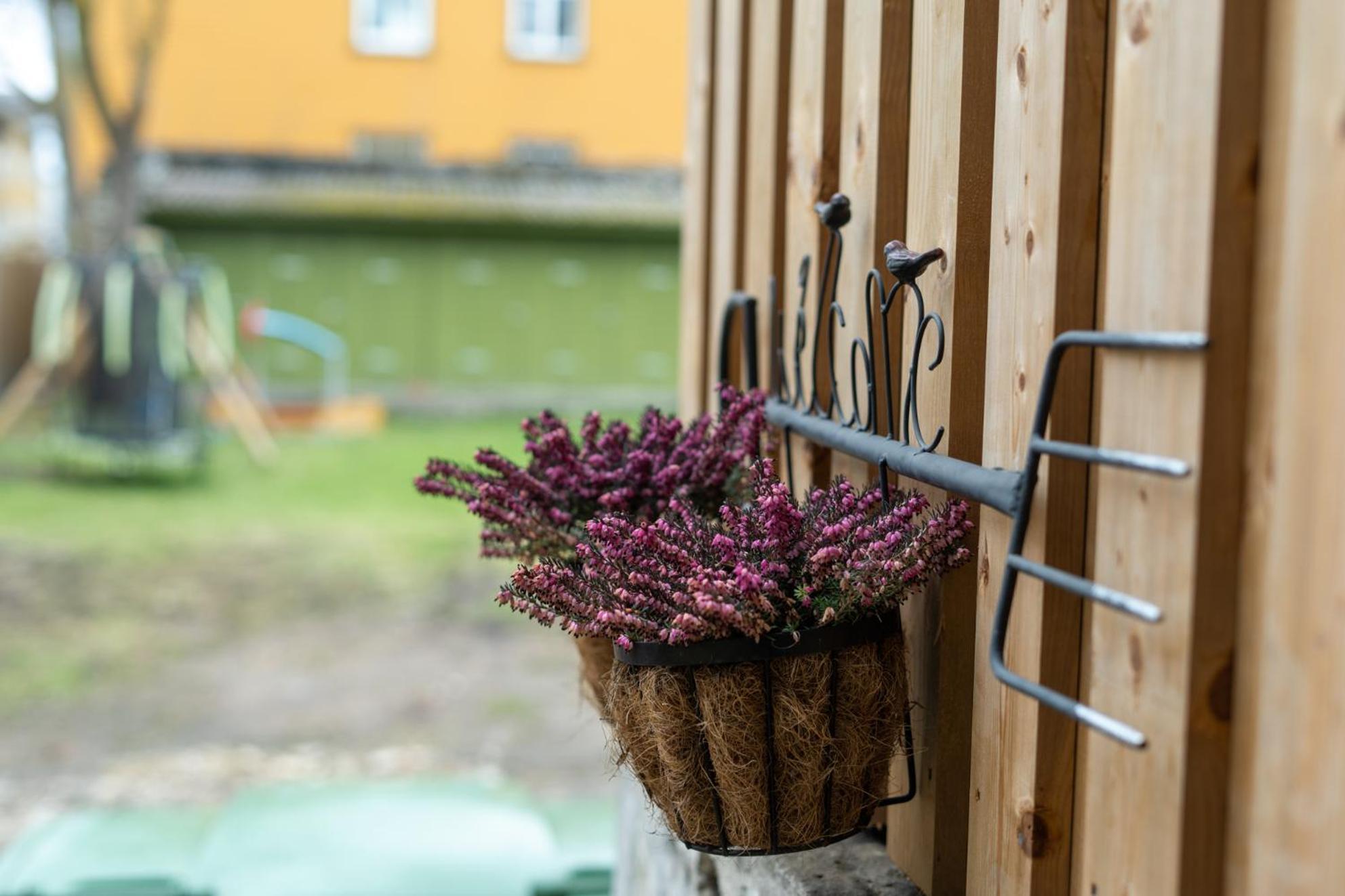 Garden Studio Next To Telliskivi & Old Town Tallin Zewnętrze zdjęcie
